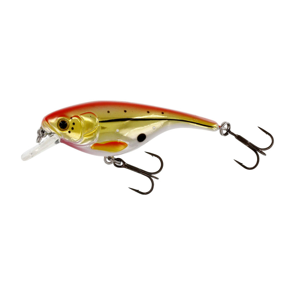 Westin dirbtinis masalas BabyBite SR Crankbait Floating