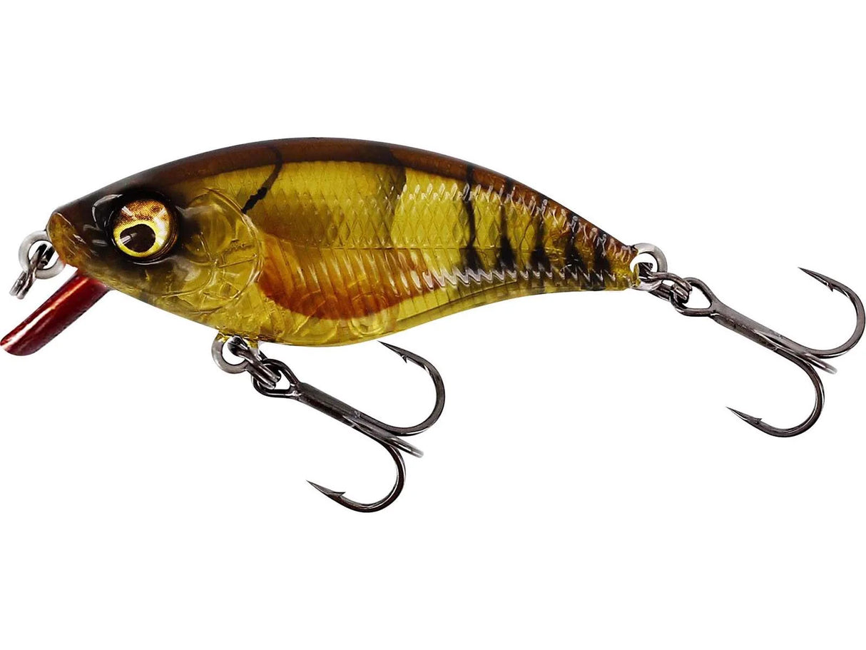 Westin dirbtinis masalas BuzzBite SR Crankbait — 6