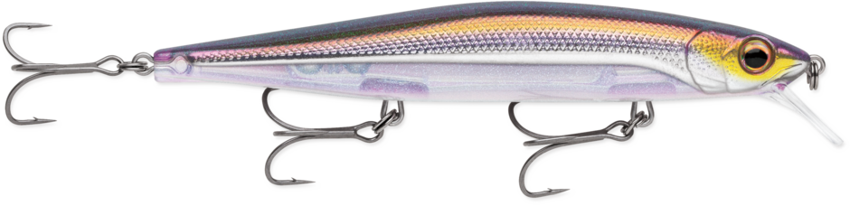 Vobleris Rapala Precision Xtreme Mavrik 110 — 2