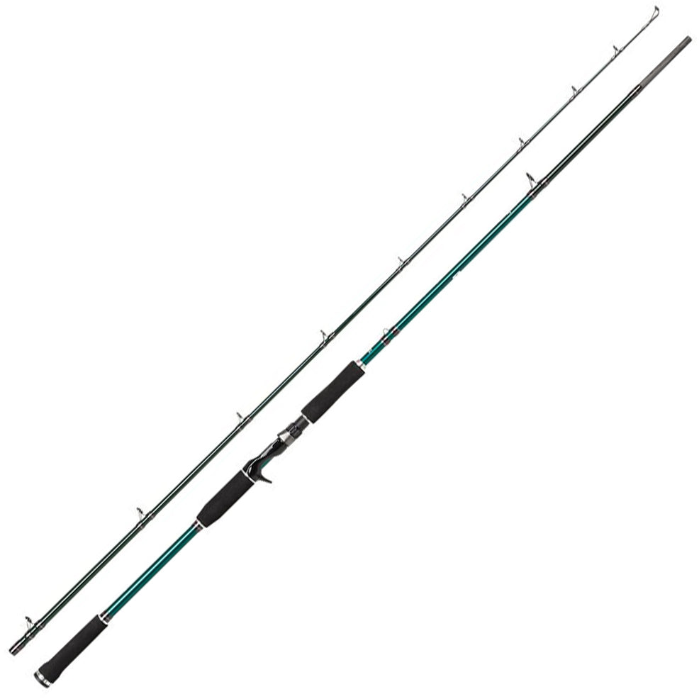 AbuGarcia meškerė Beast X Pike 259cm 70-250g