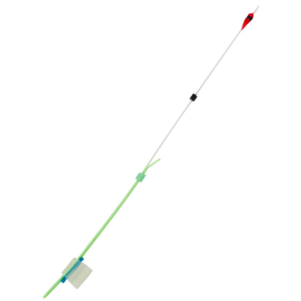 Sargelis lavsaninis Salmo Whitefish — 2