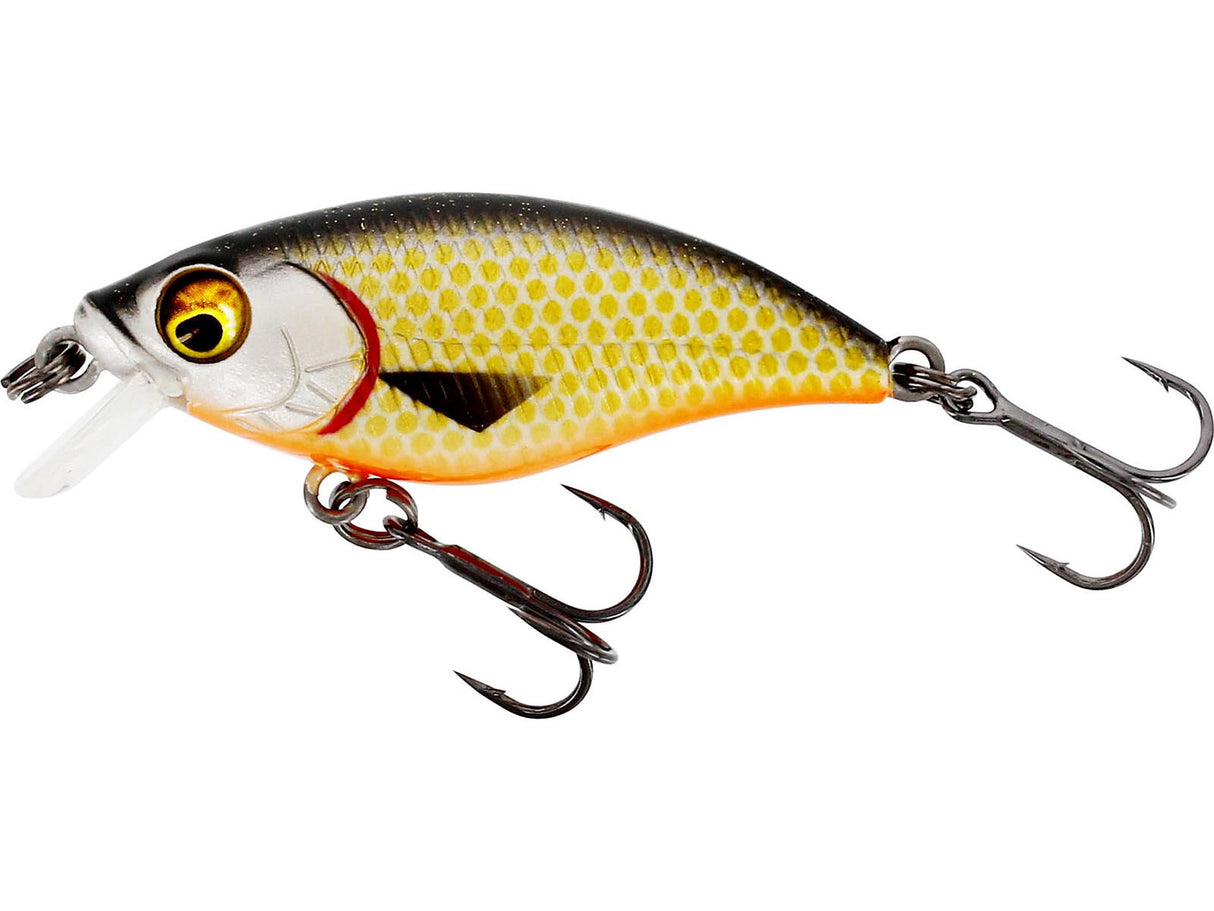 Westin dirbtinis masalas BuzzBite SR Crankbait — 5