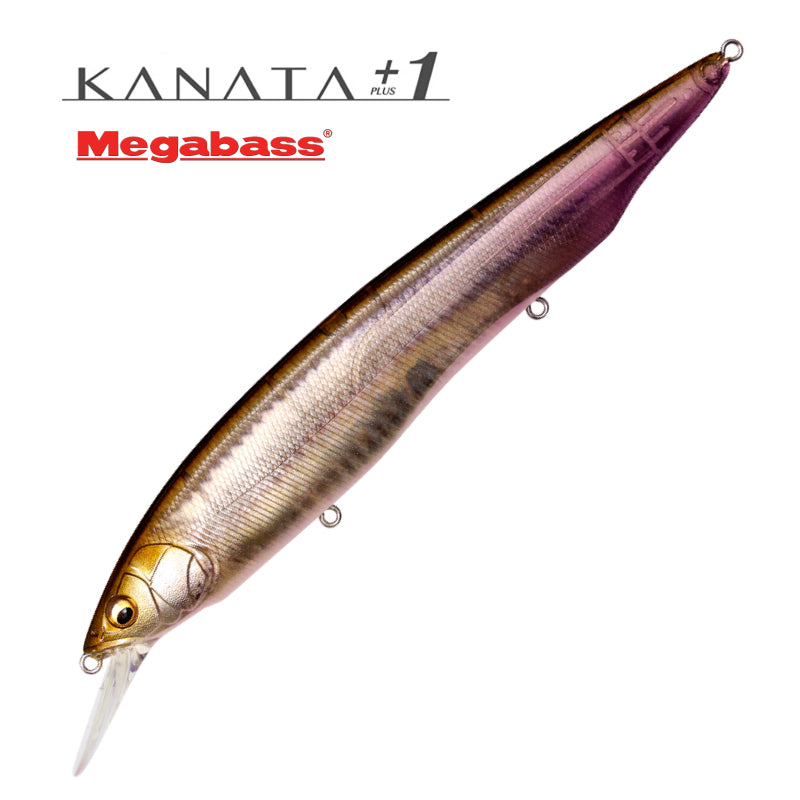 Megabass vobleris KANATA +1