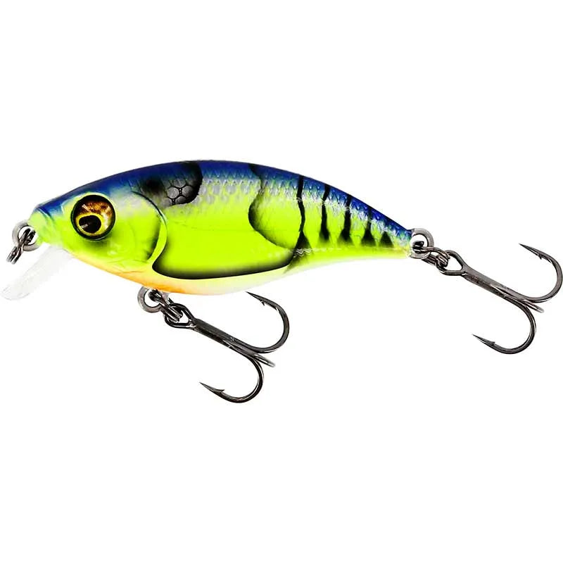 Westin dirbtinis masalas BuzzBite SR Crankbait — 3