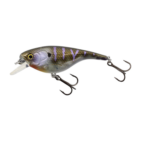 Westin dirbtinis masalas BabyBite SR Crankbait Floating — 12