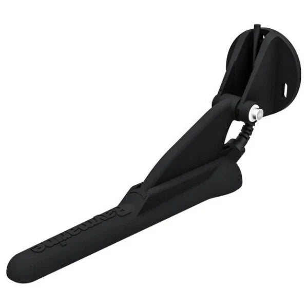 Raymarine Dragonfly CPT-DVS daviklis