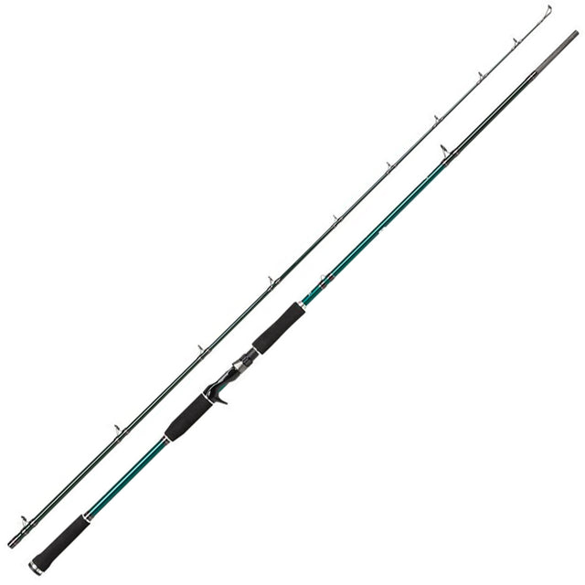 AbuGarcia meškerė Beast X Pike 256cm 50-220g