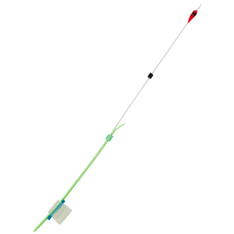 Sargelis lavsaninis Salmo Whitefish — 2