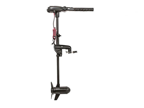 Variklis elektrinis Haswing PROTRUAR 1.0 (65lbs)