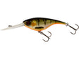 Westin dirbtinis masalas BabyBite DR Crankbait Floating