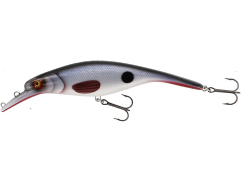 Westin vobleris Platypus Crankbait — 8