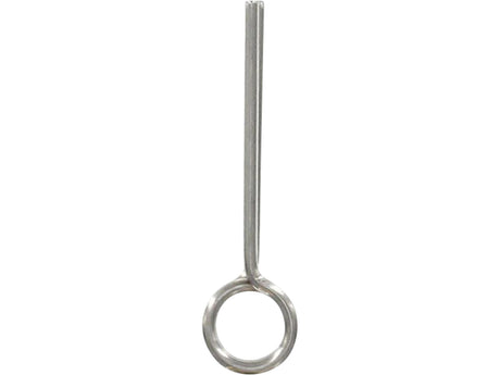 Westin smeigtukai Stinger Spike
