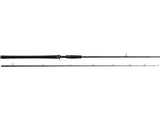 Westin meškerė W2 PowerCast-T 248cm 40-130g