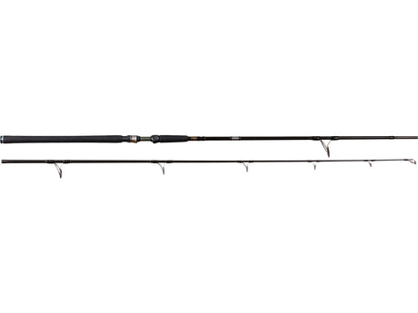 Westin meškerė W3 Hucho 2nd 265cm 50-190g
